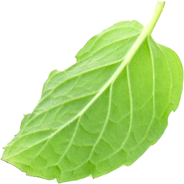 leaf 1