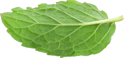 leaf 2